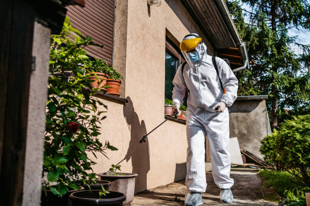 Best Rat Extermination Near Me  in Canfield, OH