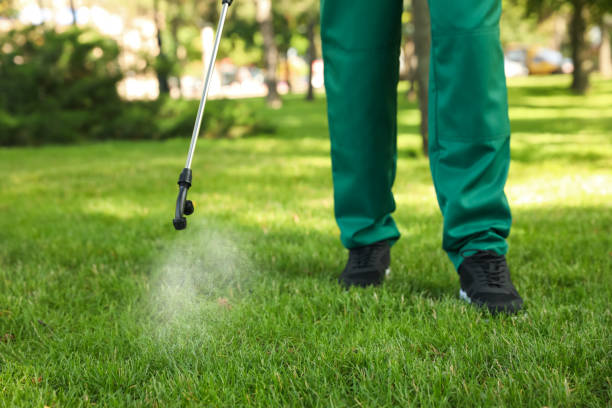 Wildlife Control Services in Canfield, OH
