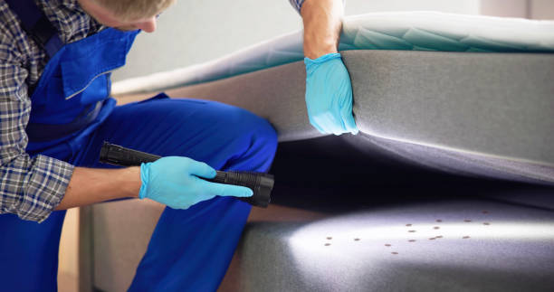Best Commercial Pest Control Services  in Canfield, OH