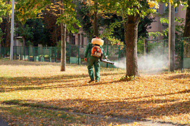 Best Best Pest Control Companies  in Canfield, OH