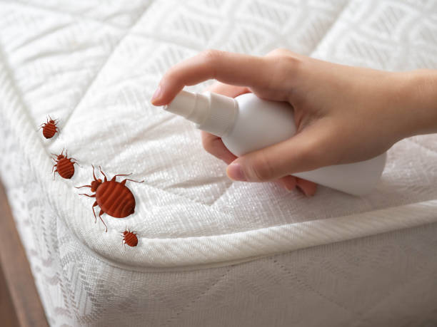 Best Residential Pest Control  in Canfield, OH