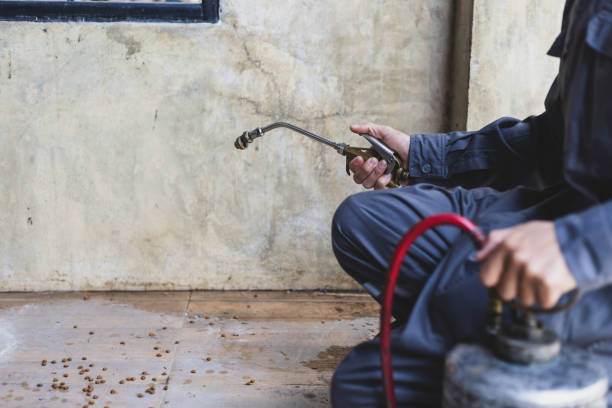 Best Pest Removal Services  in Canfield, OH