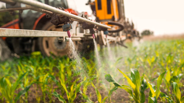 Best Wildlife Control Services  in Canfield, OH